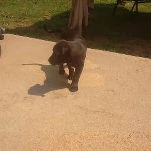 Meet your Posher, Tyler